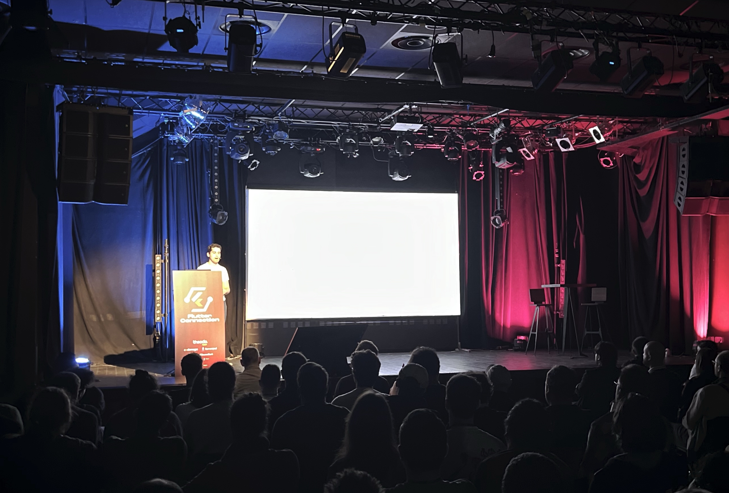 Flutter Connection, France logo